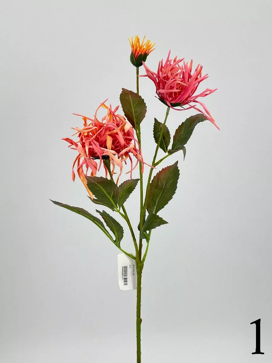 Хризантема PIO-108  Интернет-магазин Feron Flower 