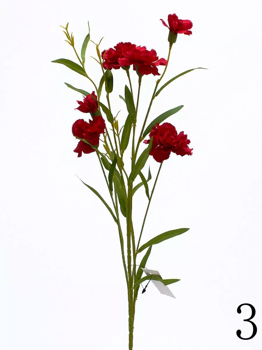 Гвоздика SUN641  Интернет-магазин Feron Flower 