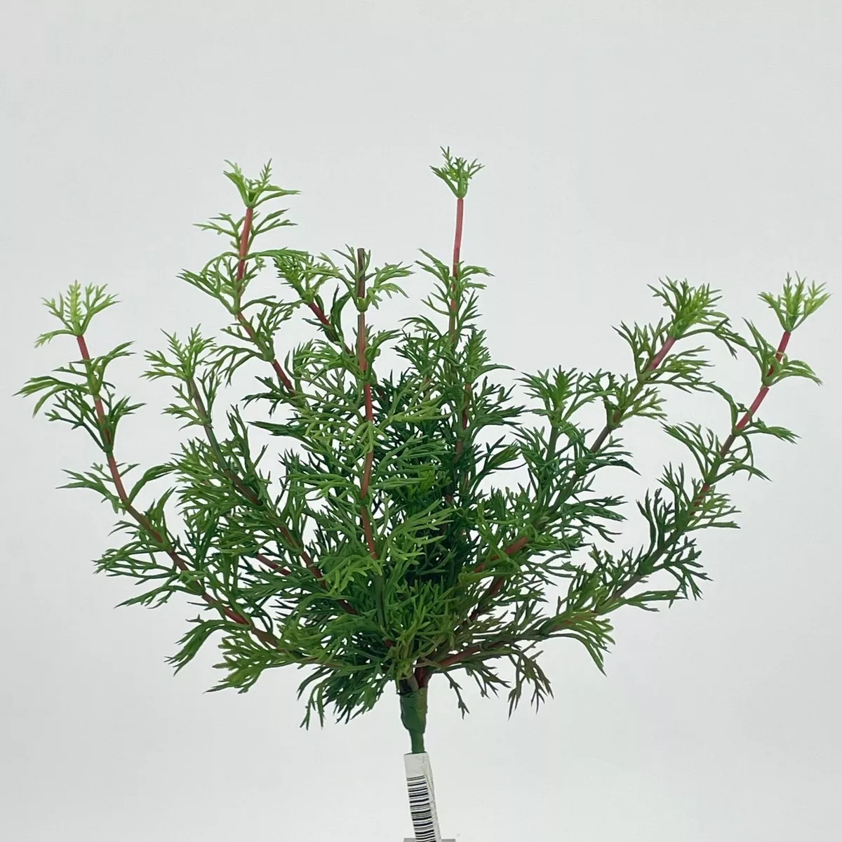 Букет зелени XA878  Интернет-магазин Feron Flower 