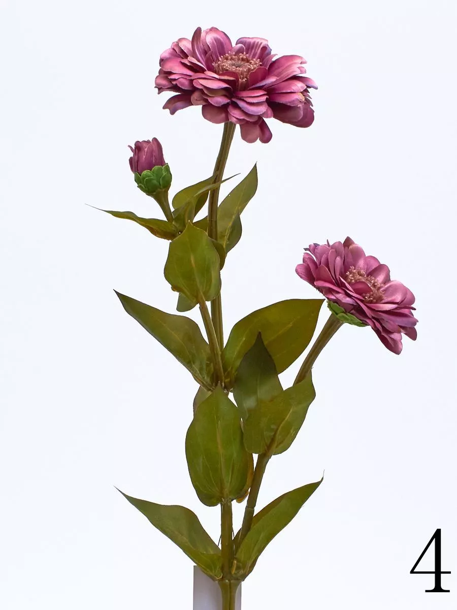 Циния SUN127  Интернет-магазин Feron Flower 