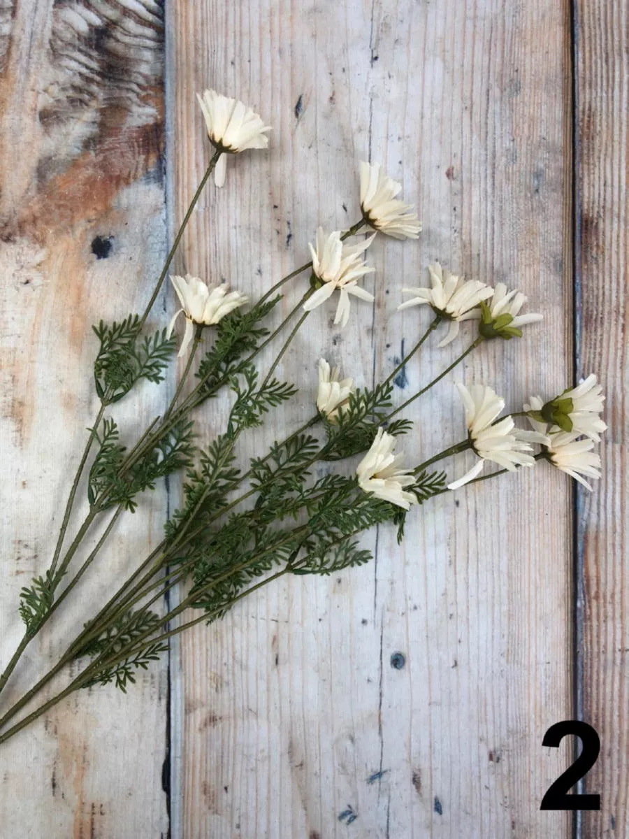 Хризантема 124CAN31024  Интернет-магазин Feron Flower 