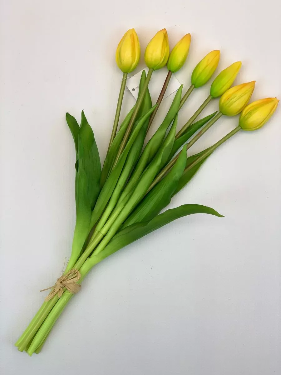 Тюльпан BU04045  Интернет-магазин Feron Flower 