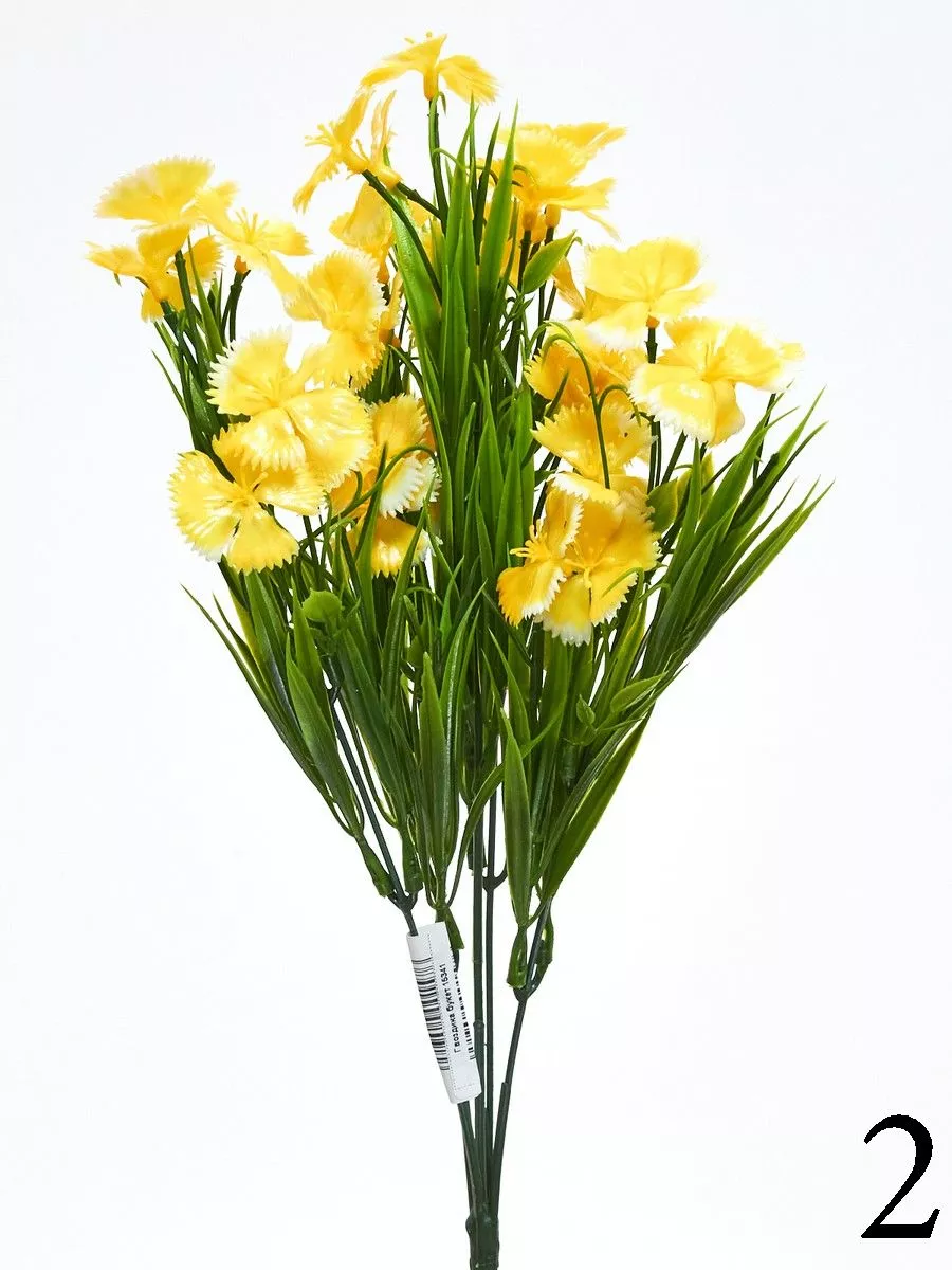 Гвоздика букет 15341  Интернет-магазин Feron Flower 