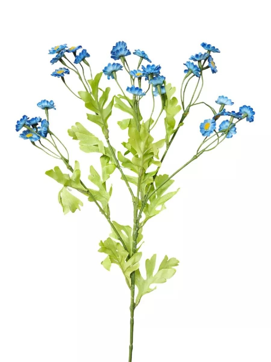 Ромашка 132274  Интернет-магазин Feron Flower 