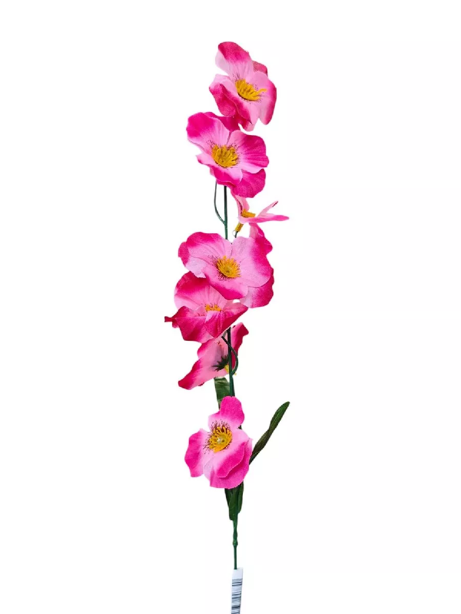 Фиалка K023E  Интернет-магазин Feron Flower 