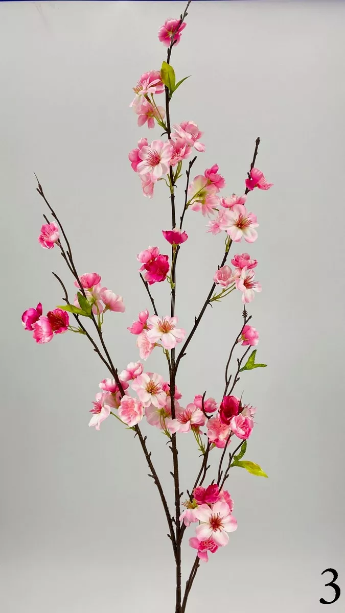 Яблонь FL-QH011  Интернет-магазин Feron Flower 