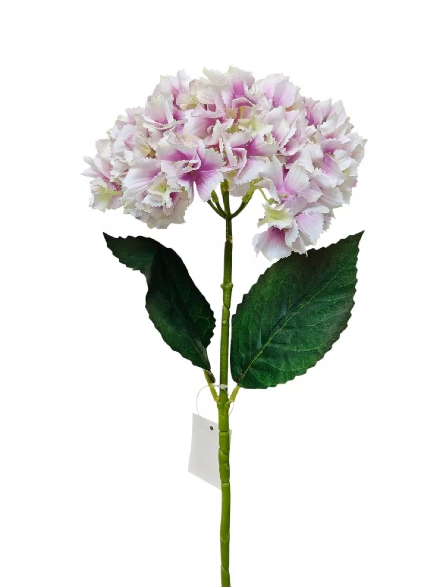 Гортензия K04077  Интернет-магазин Feron Flower 