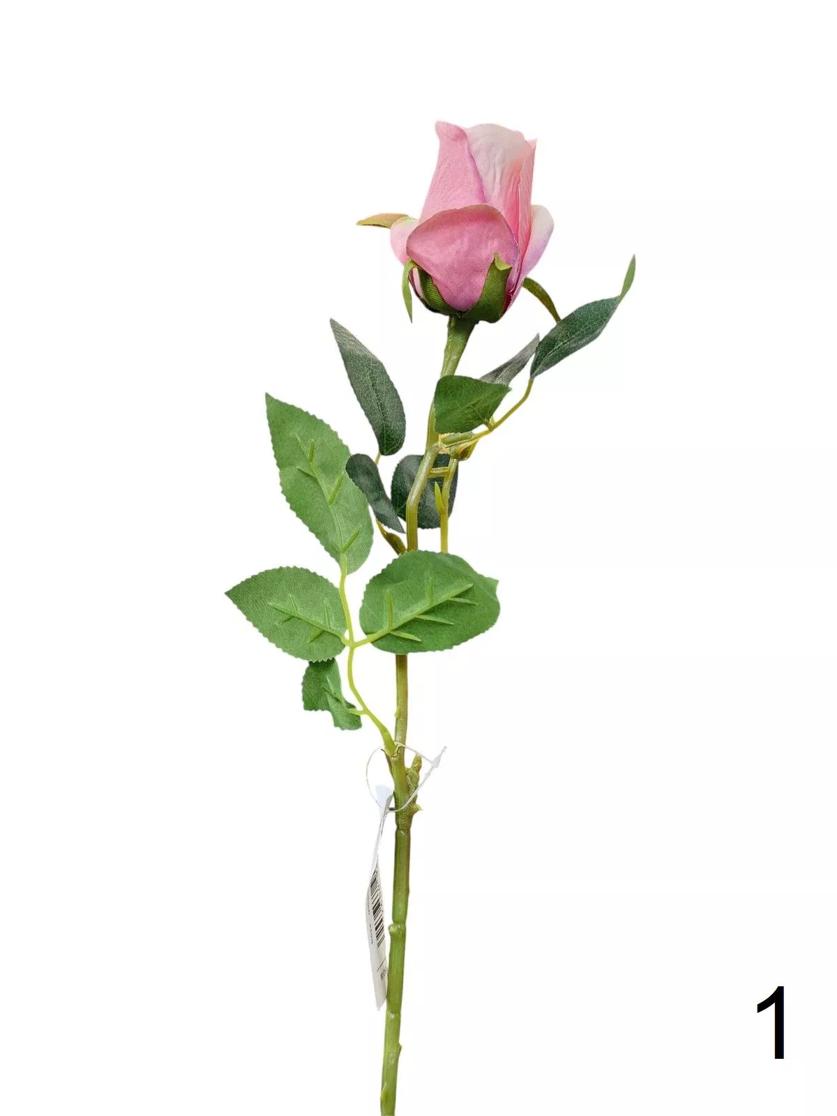 Роза K343  Интернет-магазин Feron Flower 