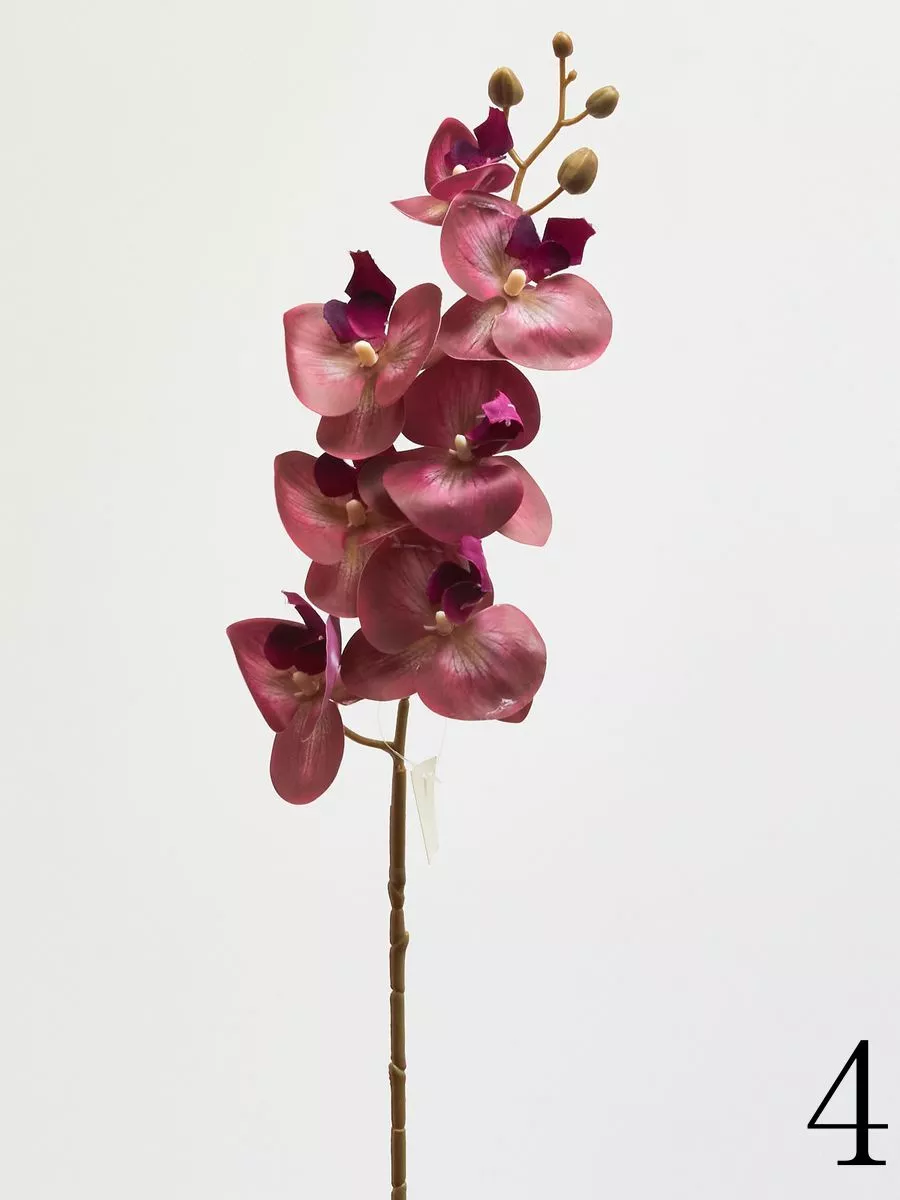 Орхидея 210157  Интернет-магазин Feron Flower 