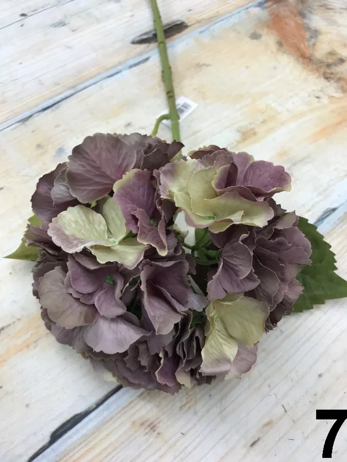 Гортензия DY14-44  Интернет-магазин Feron Flower 