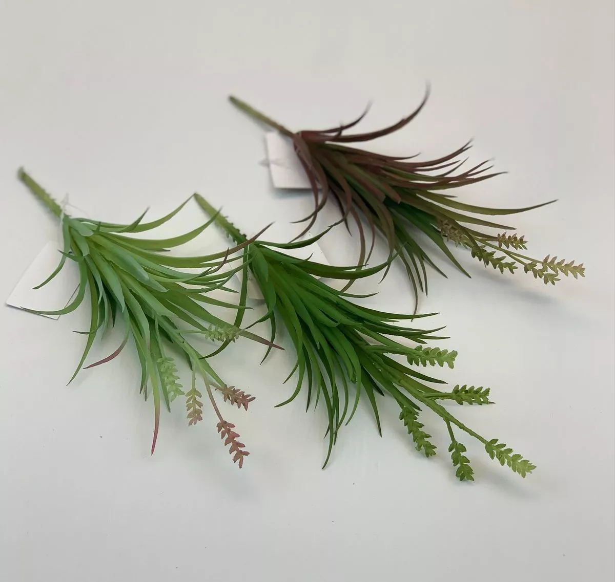 Cуккулент 21KW252  Интернет-магазин Feron Flower 