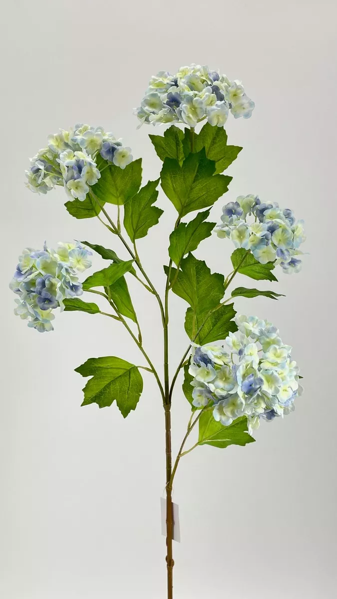 Вибурнум FL-QH001   Интернет-магазин Feron Flower 