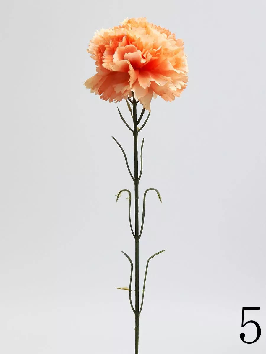 Гвоздика K396  Интернет-магазин Feron Flower 