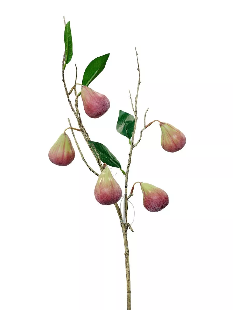 Инжир FL-QH159  Интернет-магазин Feron Flower 