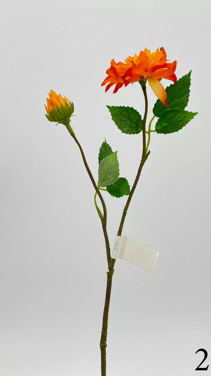 Далия 542345  Интернет-магазин Feron Flower 