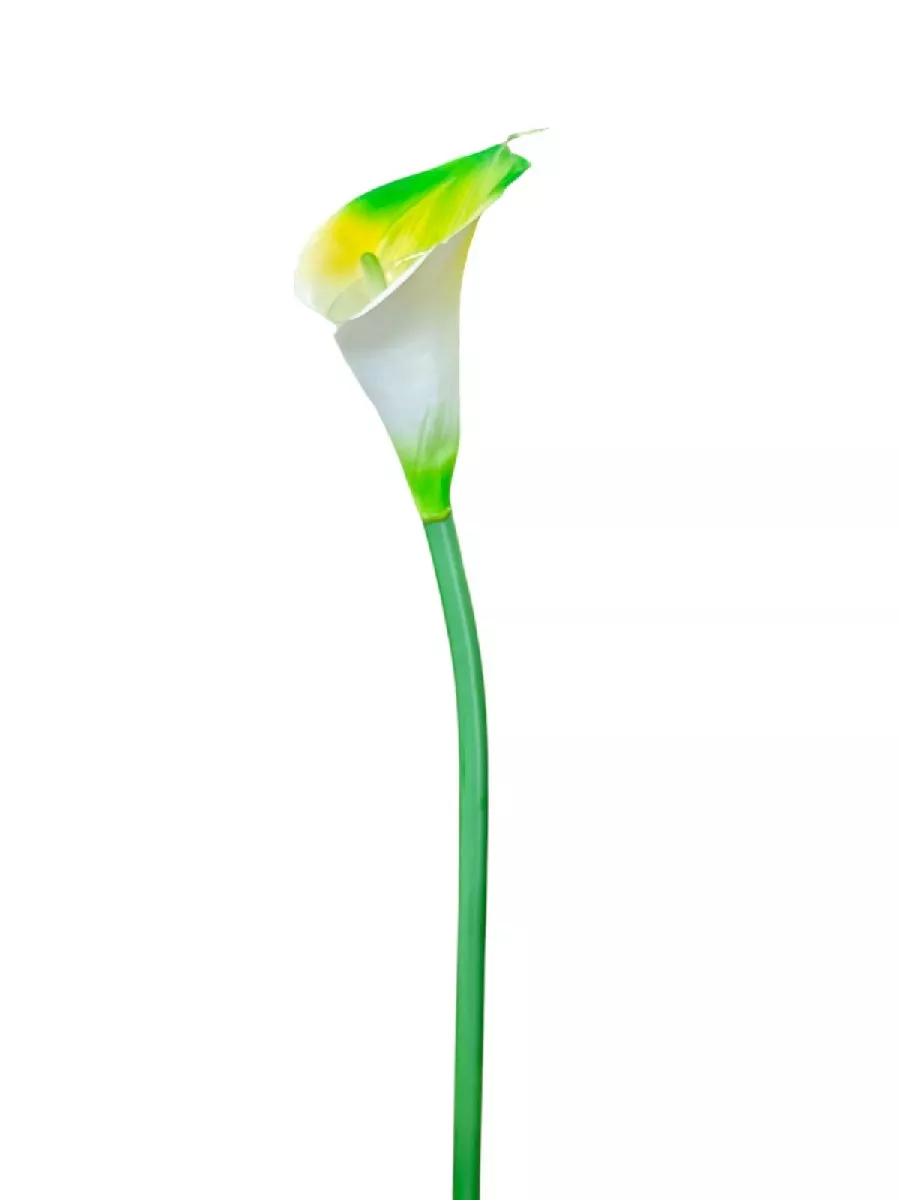 Калла AL45085  Интернет-магазин Feron Flower 