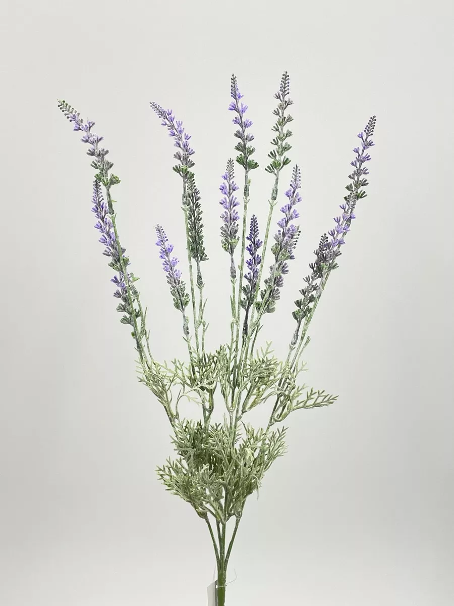 Лаванда FL-QH047  Интернет-магазин Feron Flower 