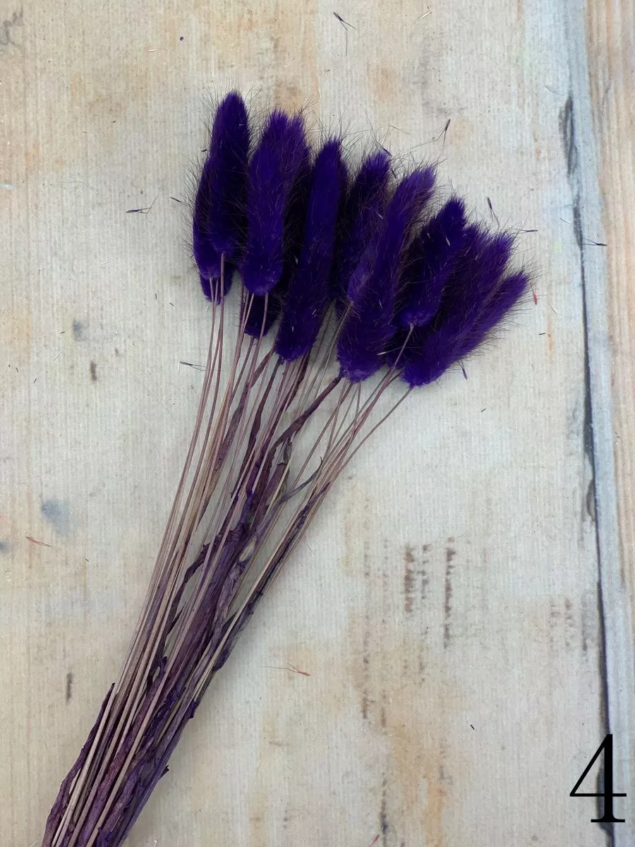 Лагурус 30 веток MIX  Интернет-магазин Feron Flower 