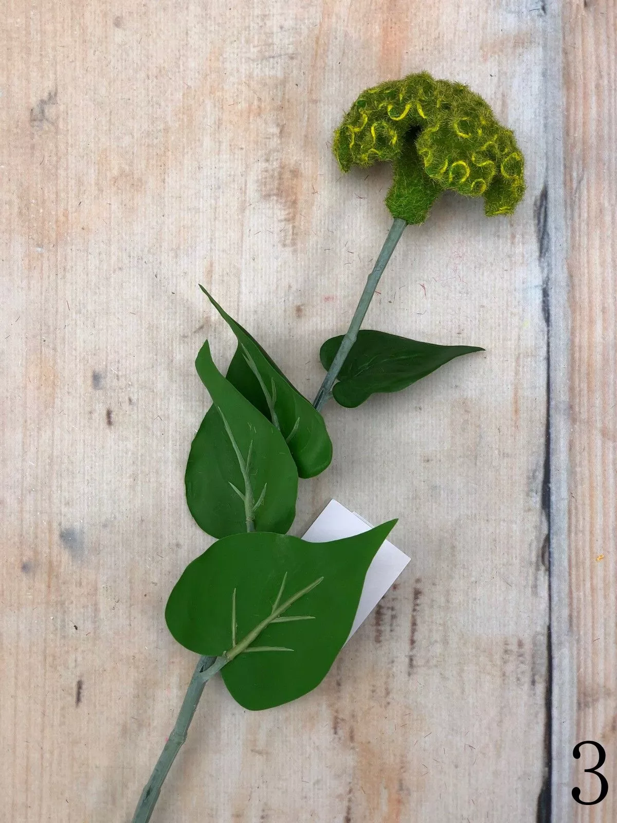 Целозия K03956  Интернет-магазин Feron Flower 