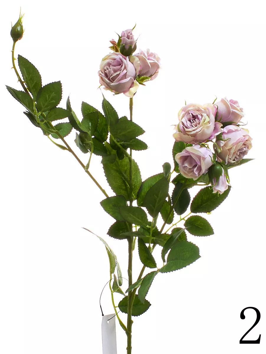 Роза SUN598  Интернет-магазин Feron Flower 