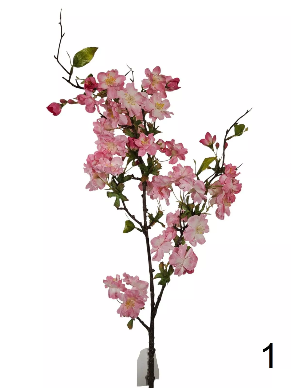 Яблонь FL-QH121  Интернет-магазин Feron Flower 