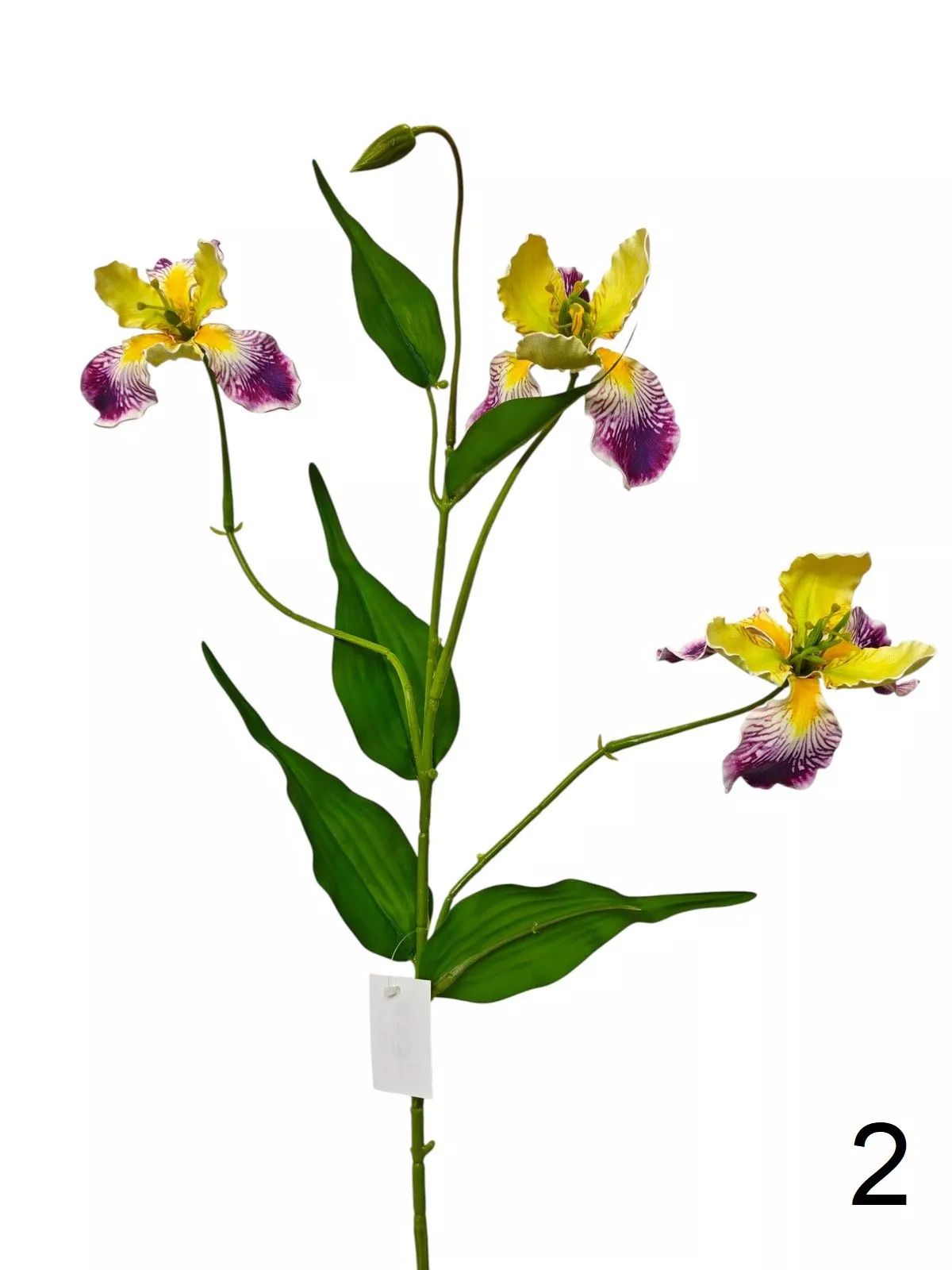 Ирис FL-QH164  Интернет-магазин Feron Flower 