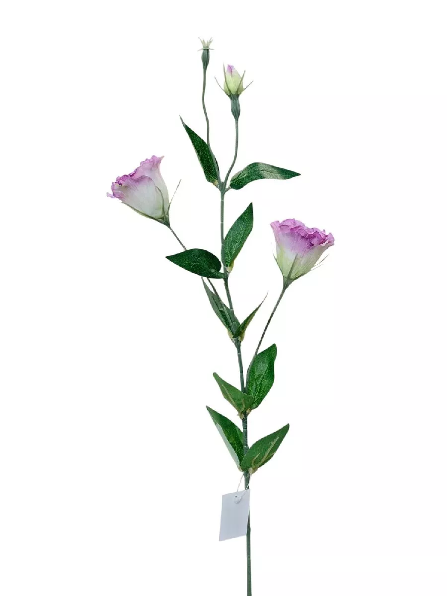 Эустома FL-QH166  Интернет-магазин Feron Flower 