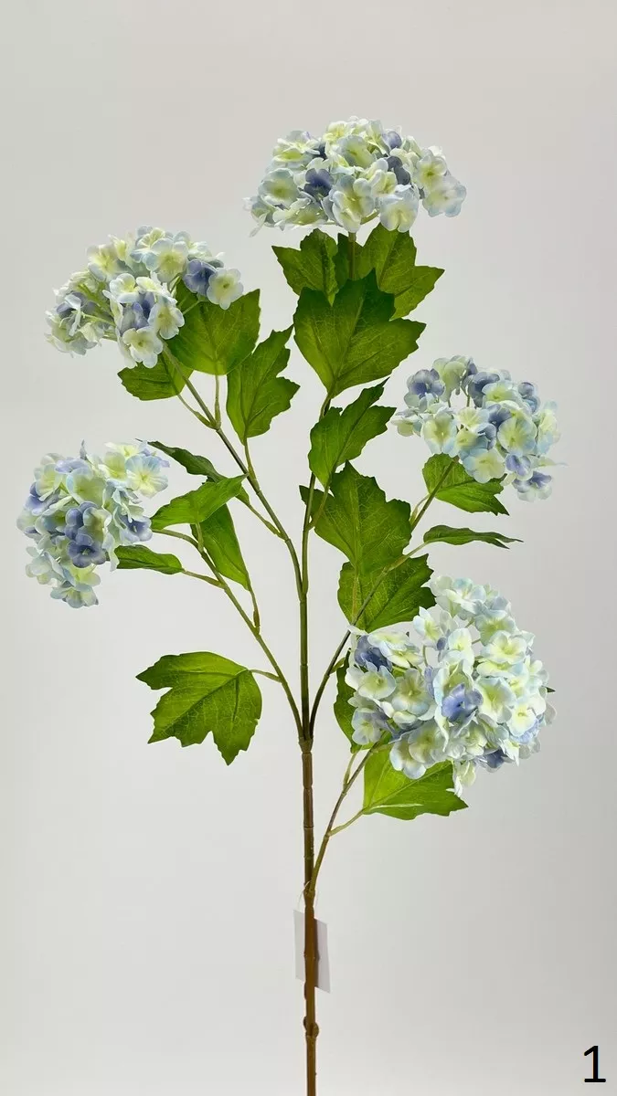 Вибурнум FL-QH001   Интернет-магазин Feron Flower 