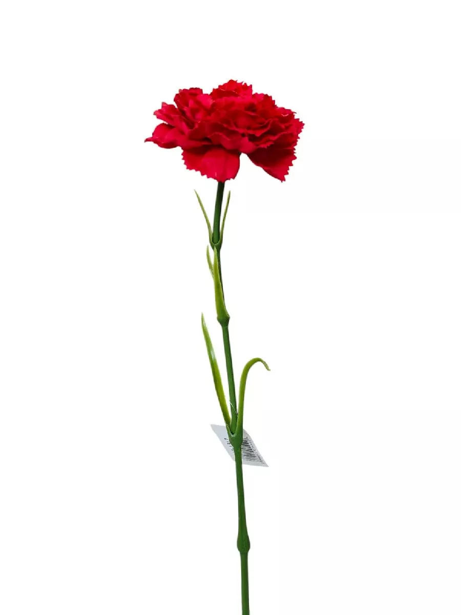 Гвоздика 9144-1317  Интернет-магазин Feron Flower 
