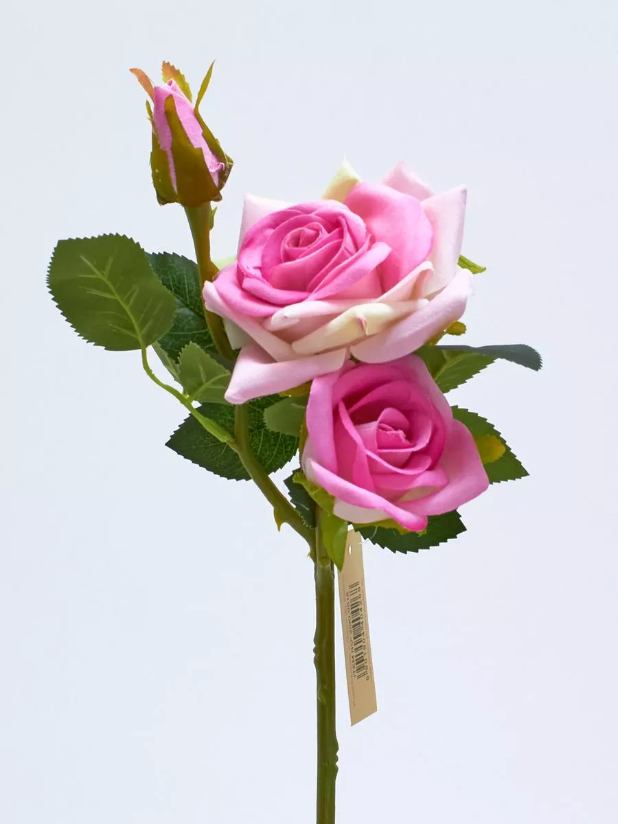 Роза 20KL0015  Интернет-магазин Feron Flower 