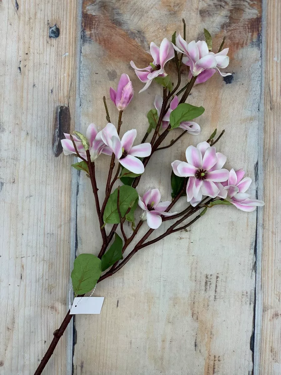Магнолия 412106  Интернет-магазин Feron Flower 