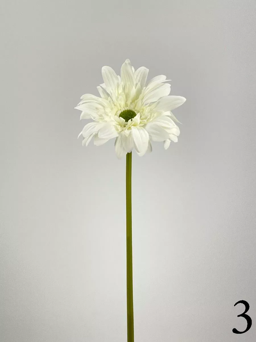 Гербера FL-QH076  Интернет-магазин Feron Flower 