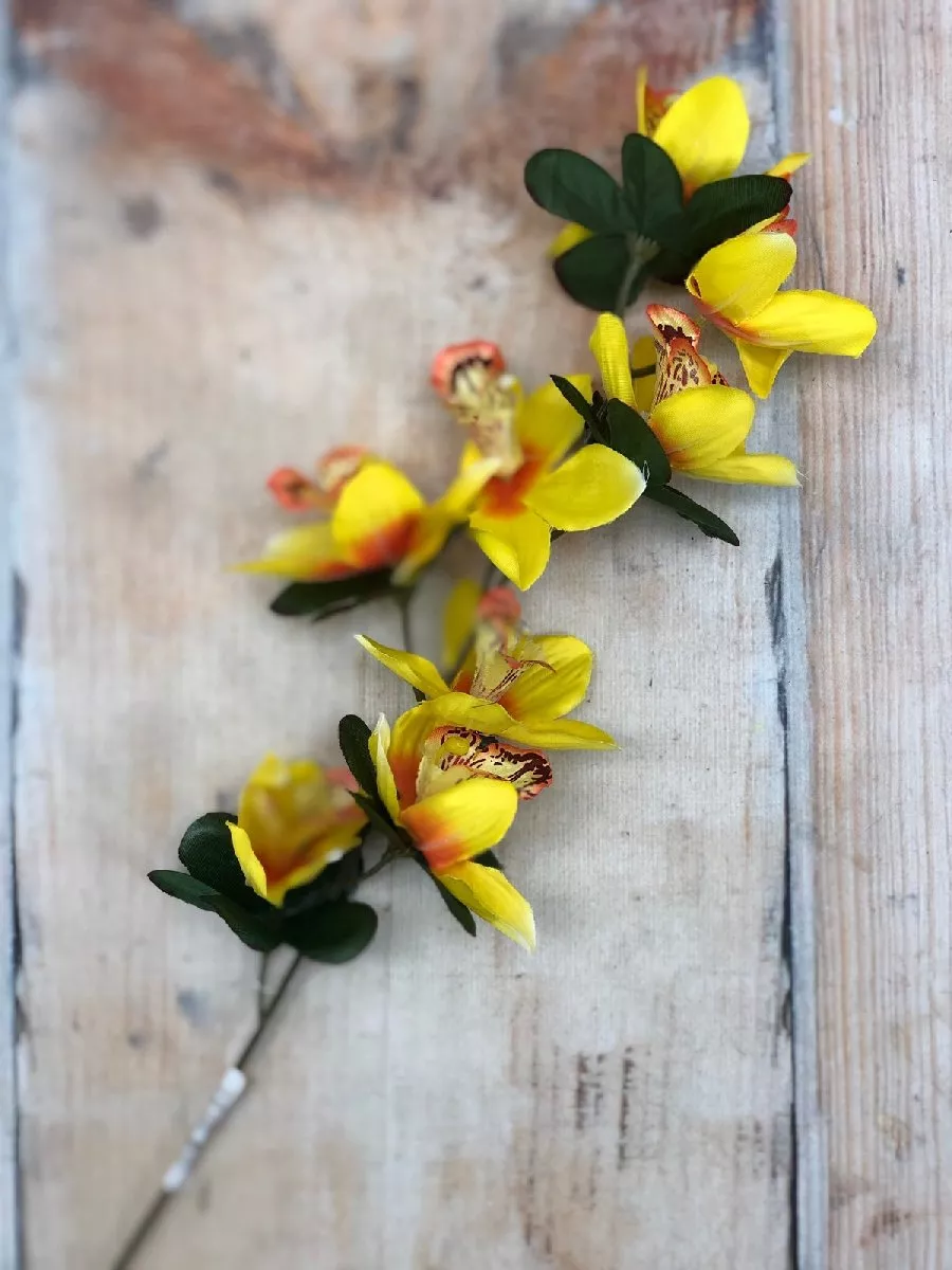 Орхидея K937  Интернет-магазин Feron Flower 