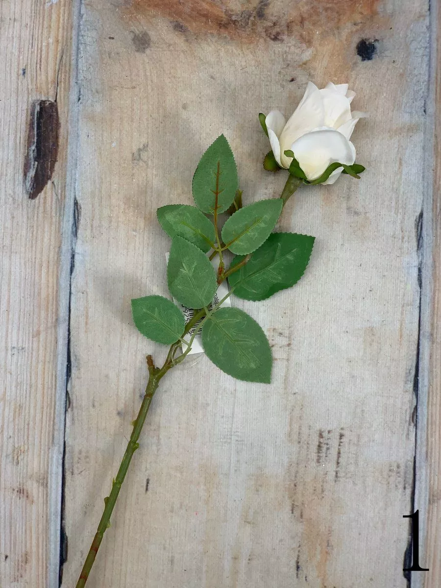 Роза K343  Интернет-магазин Feron Flower 