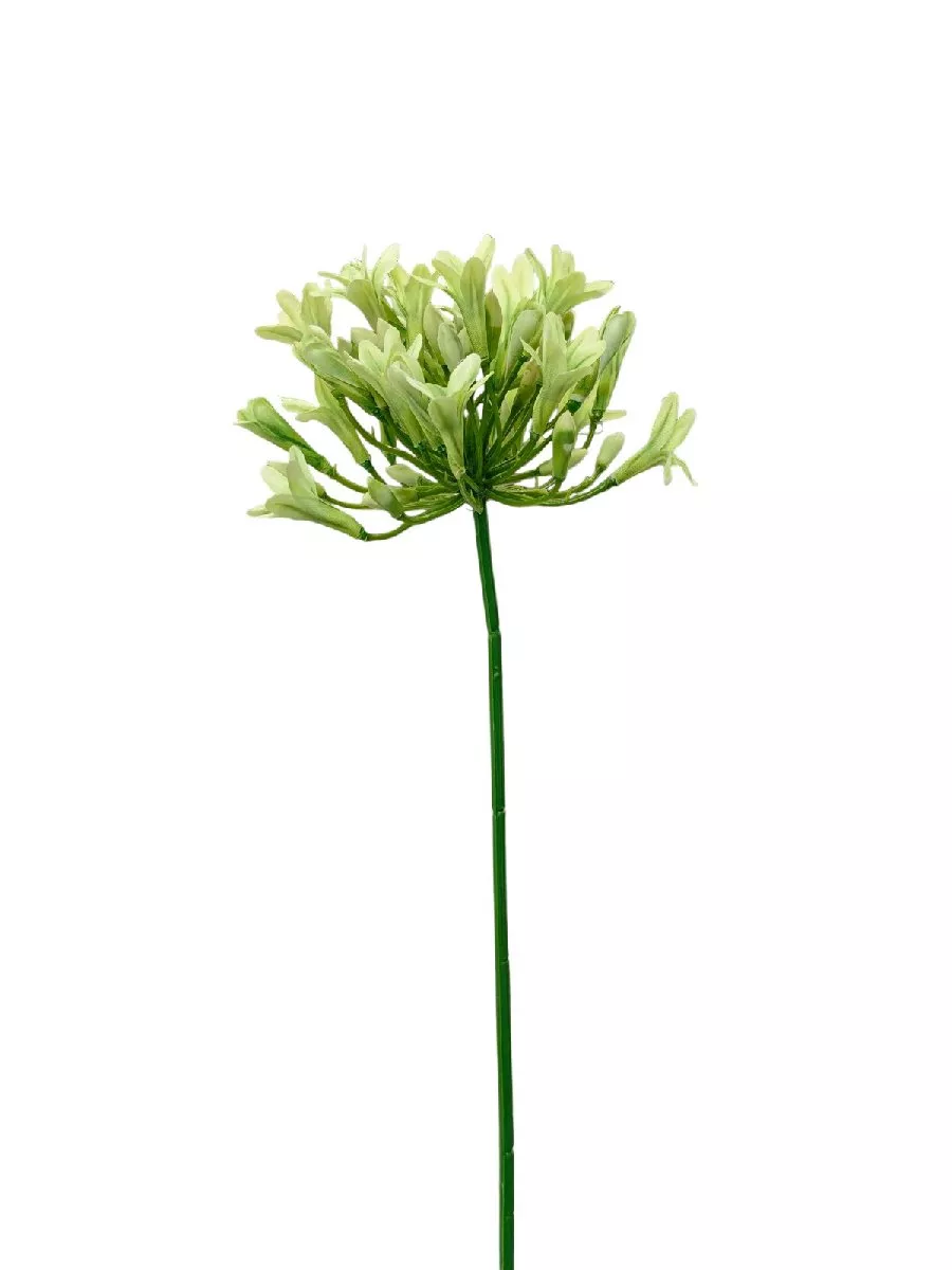 Лук REN-225 зеленый   Интернет-магазин Feron Flower 