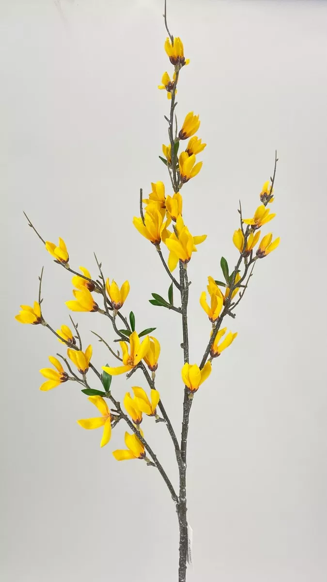 Форзиция FL-QH040  Интернет-магазин Feron Flower 