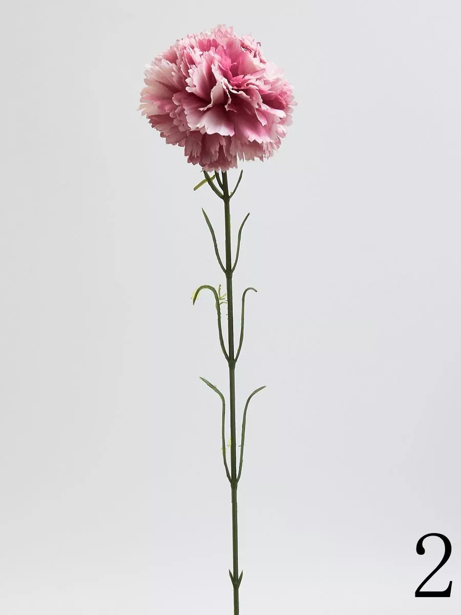 Гвоздика K396  Интернет-магазин Feron Flower 