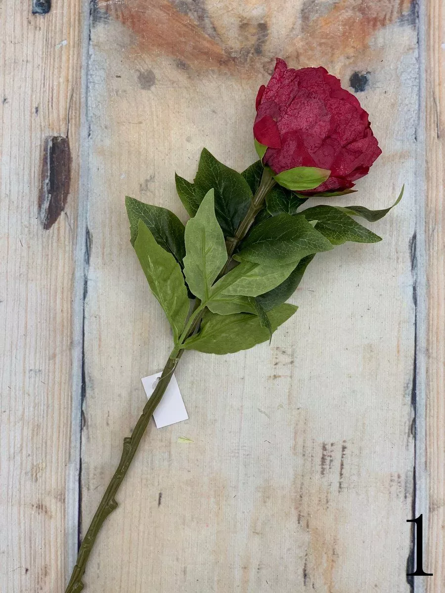 Пион VIP2135  Интернет-магазин Feron Flower 