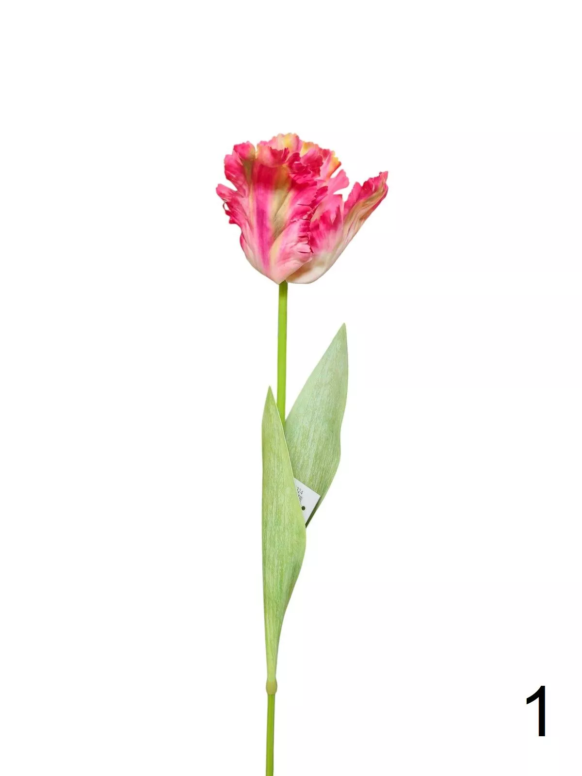Тюльпан 9144-1324  Интернет-магазин Feron Flower 