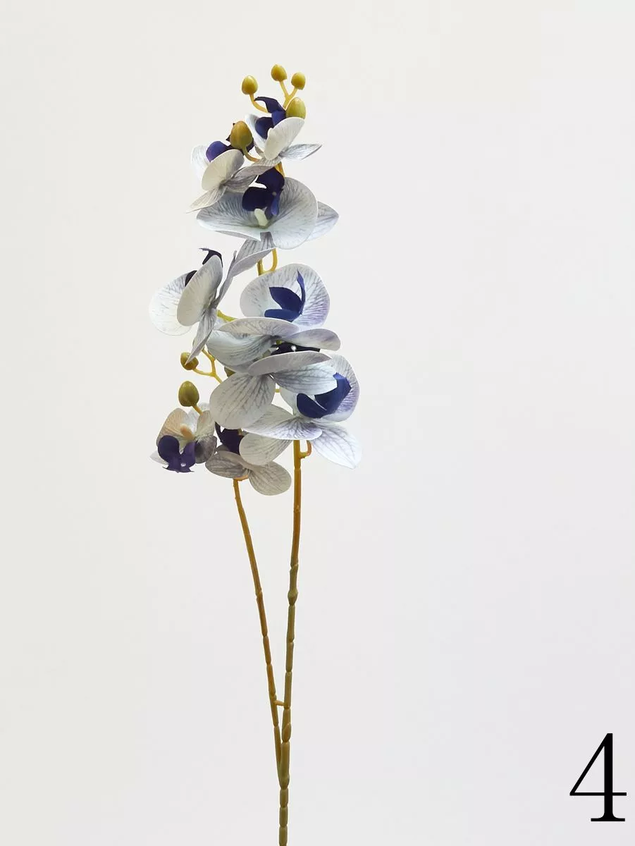 Орхидея 210153  Интернет-магазин Feron Flower 