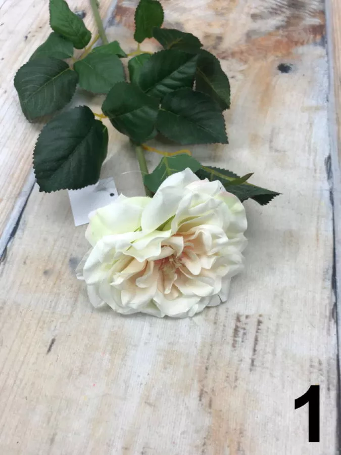 Роза K03737  Интернет-магазин Feron Flower 