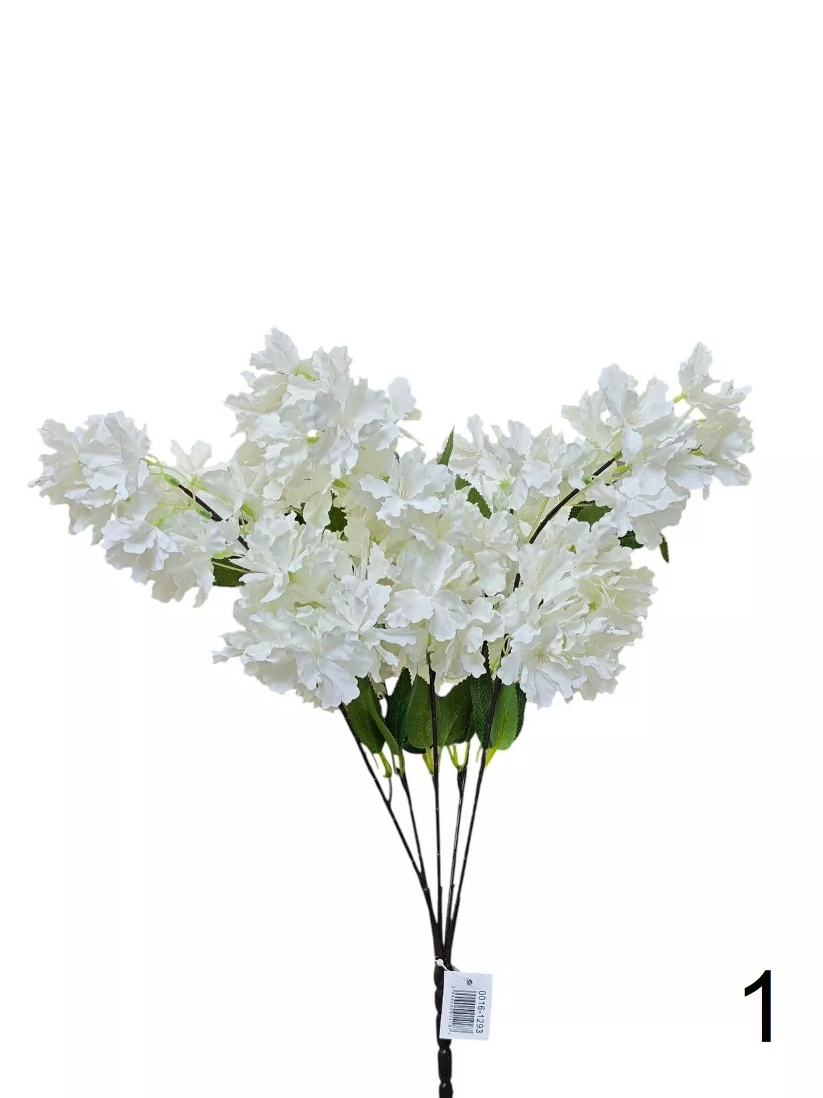 Яблонь 0016-1293  Интернет-магазин Feron Flower 