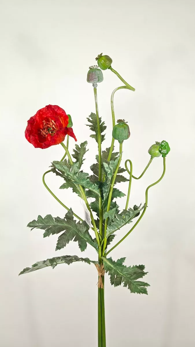 Мак 9189-1021  Интернет-магазин Feron Flower 