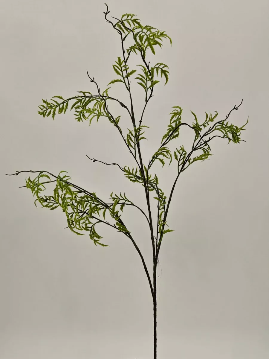 Зелень REN-243 зеленый   Интернет-магазин Feron Flower 