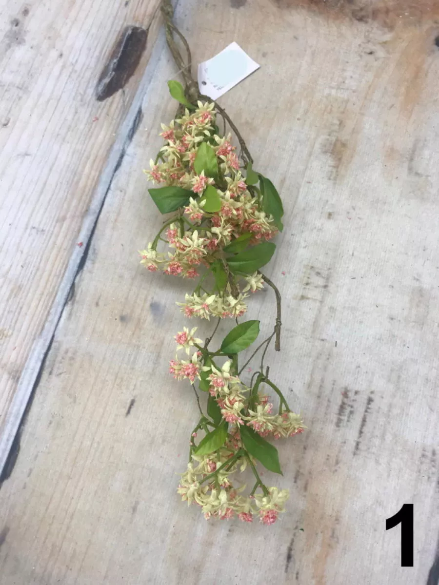 Букет зелени AA020  Интернет-магазин Feron Flower 