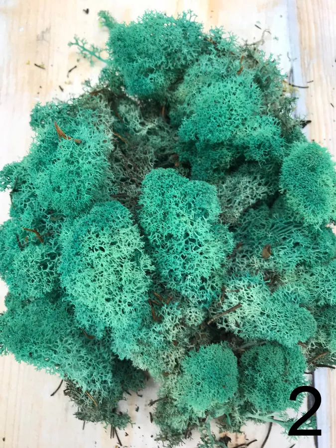 Мох L500   Интернет-магазин Feron Flower 