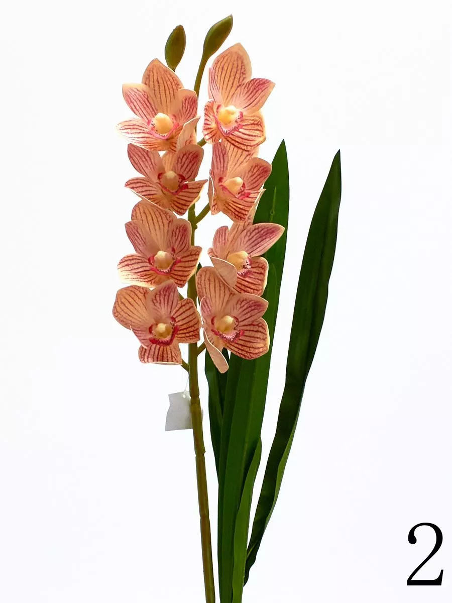 Орхидея K03977  Интернет-магазин Feron Flower 