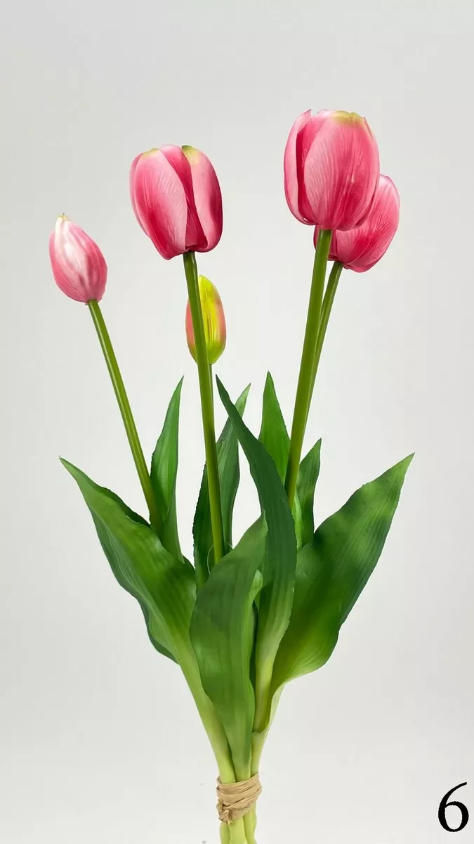 Тюльпан latex FL-QH066  Интернет-магазин Feron Flower 