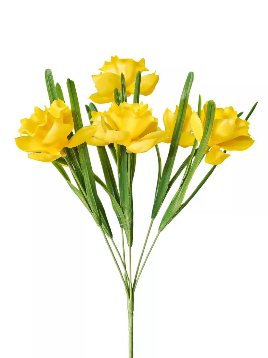 Нарцисс 153544  Интернет-магазин Feron Flower 