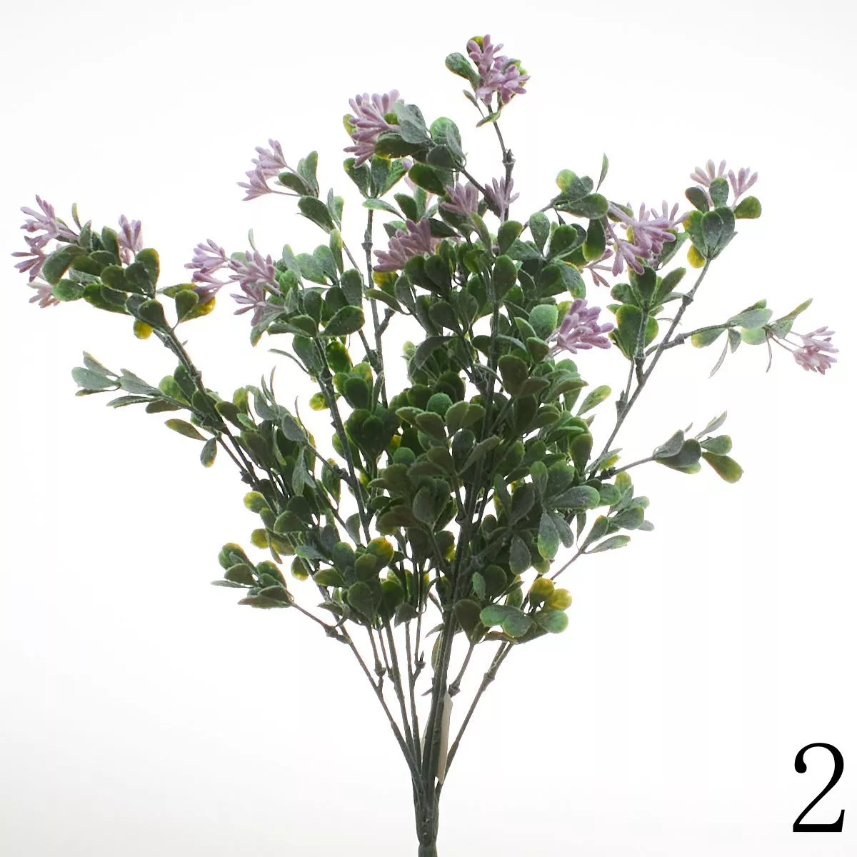 Букет зелени C-4563M  Интернет-магазин Feron Flower 